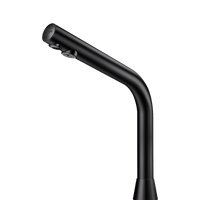 Zawór elektroniczny BLACK BINOPTIC Zasilanie sieciowe - H.250 mm Delabie 398035