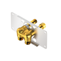 Element montażowy do przyłączy podtynkowych SPORTING 2 SECURITHERM Do paneli SPORTING 2 SECURITHERM z zasilaniem sieciowym - Zestaw 1/2 Delabie 714012
