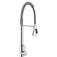 Niski zestaw do mycia wstępnego z baterią Zestaw do mycia wstępnego ze spryskiwaczem Delabie 5526