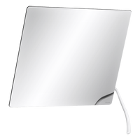 Lustro uchylne z długim ergonomicznym uchwytem Uchwyt: biały błyszczący Nylon HR Delabie 510201N