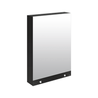 3-funkcyjna szafka z lustrem Lustro elektroniczny dozownik mydła podajnik ręczników papierowych Delabie 510209