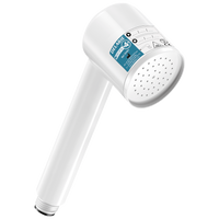 Filtr BIOFIL 4 MIESIĄCE w postaci słuchawki natryskowej Niesterylny Delabie 30461