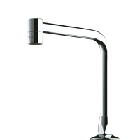 Nieruchoma wylewka rura L.150 mm H.170 mm Delabie 204001