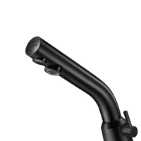 Bateria elektroniczna BLACK BINOPTIC MIX Zasilanie sieciowe - H.110 mm Delabie 378MCHB