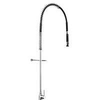 Zestaw do mycia wstępnego z 1-otworową baterią Bez zaworu czerpalnego Delabie 5626