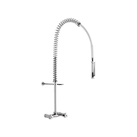 Ścienny zestaw do mycia wstępnego z baterią Bez zaworu czerpalnego Delabie G6433