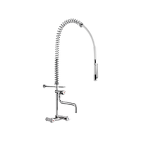 Ścienny zestaw do mycia wstępnego z baterią Z zaworem czerpalnym i teleskopową wylewką Delabie G6432