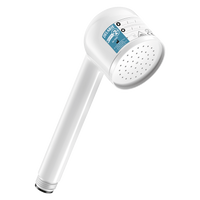 Filtr BIOFIL 2 MIESIĄCE w postaci słuchawki natryskowej Niesterylny Delabie 30261