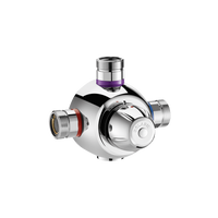 PREMIX CONFORT Do wody zmieszanej od 32°C do 42°C Delabie 731300